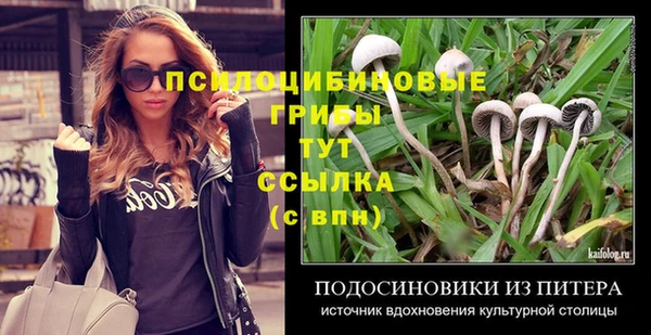 не бодяженный Козельск