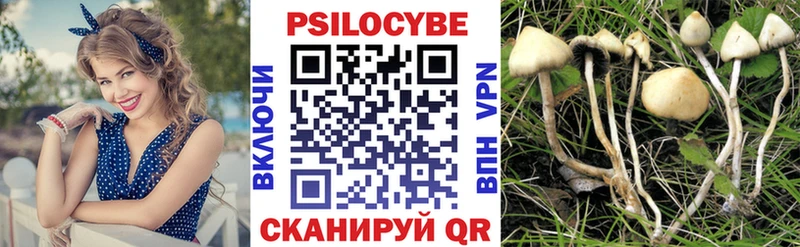 hydra ТОР  Якутск  Псилоцибиновые грибы Cubensis 